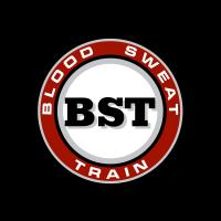 Blood Sweat Train image 1